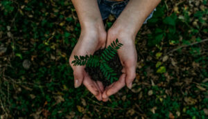 Corporate Social Responsibility