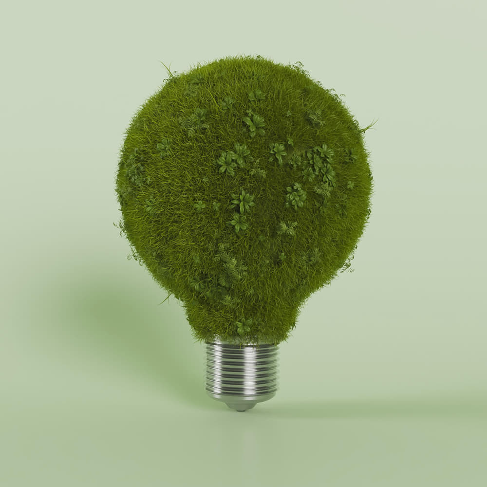 6 Greenwashing 1000